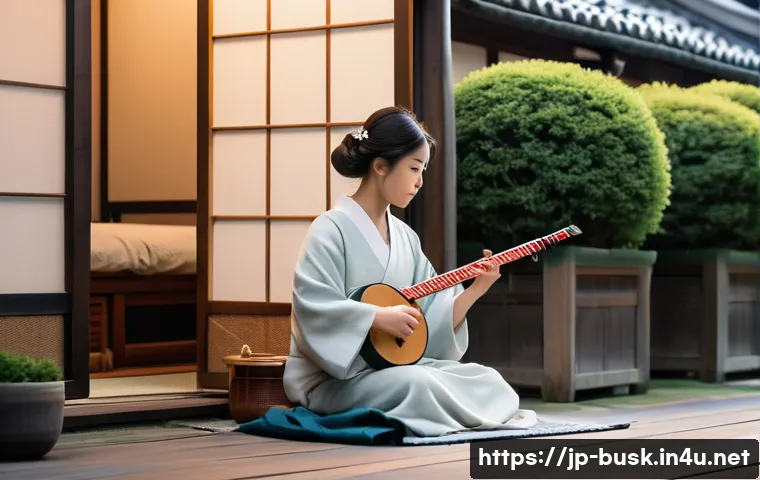 거리공연 관련법 관련 이미지 1